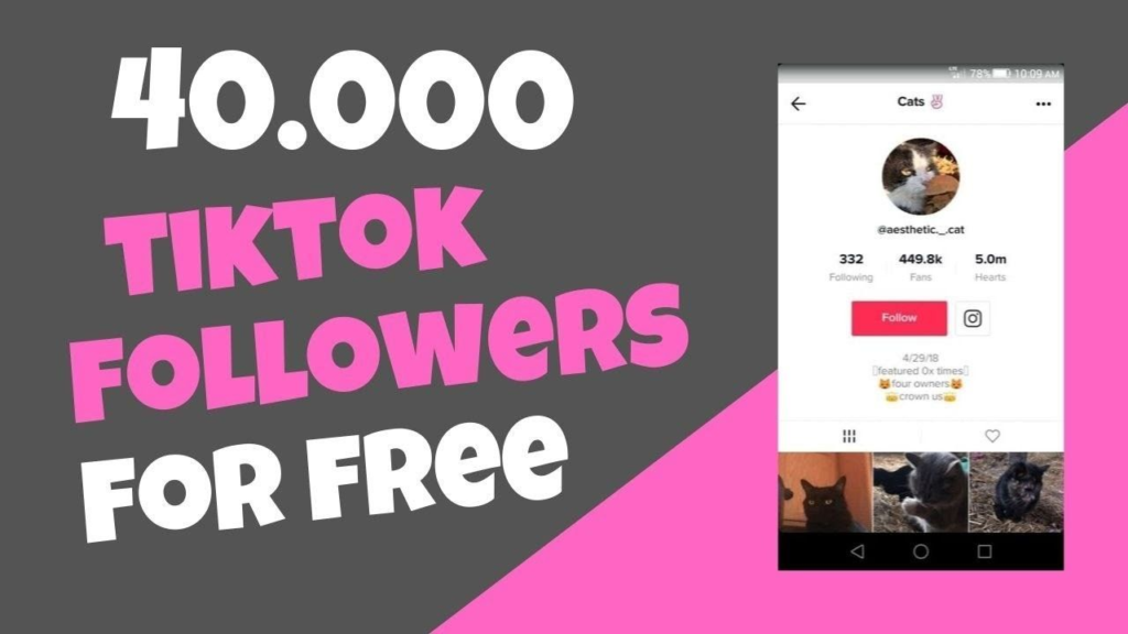 Can You Buy Followers on TikTok?